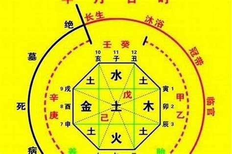 喜木火 忌金水|八字喜木火忌金水要注意什么)